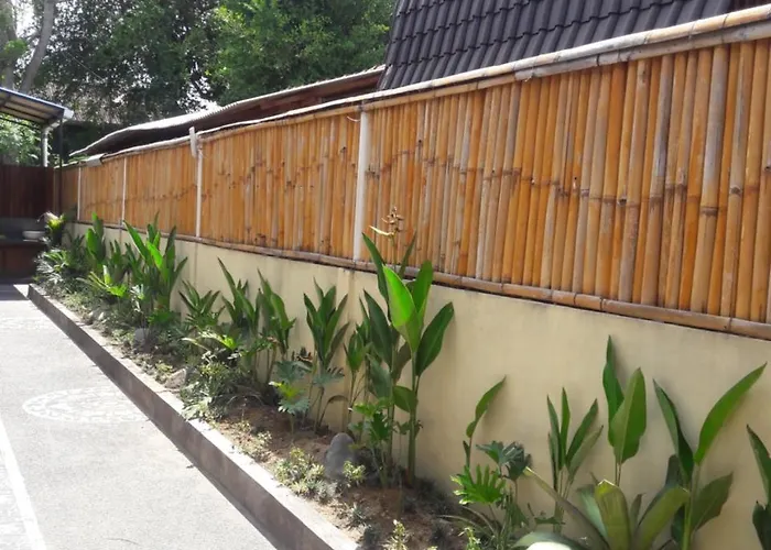 David Surf House