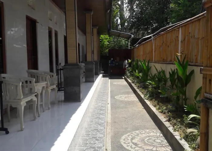 David Surf House Affittacamere *