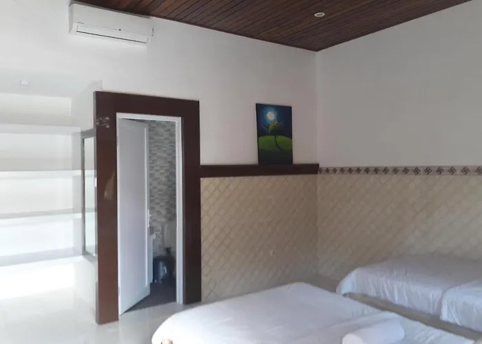 David Surf House Affittacamere Canggu